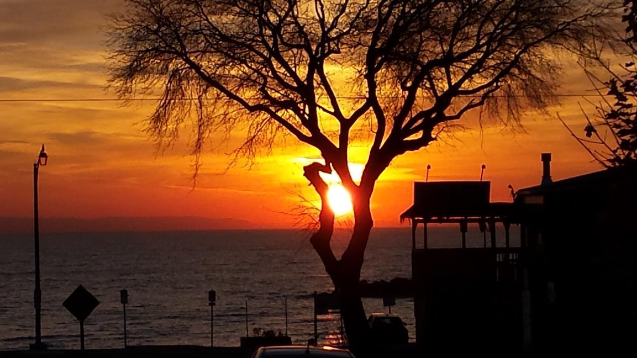 Balm Beach Resort And Motel Kültér fotó